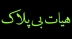 هیأت بی پلاک همراه با ارائه سبک های فاطمیه برگزار میگردد